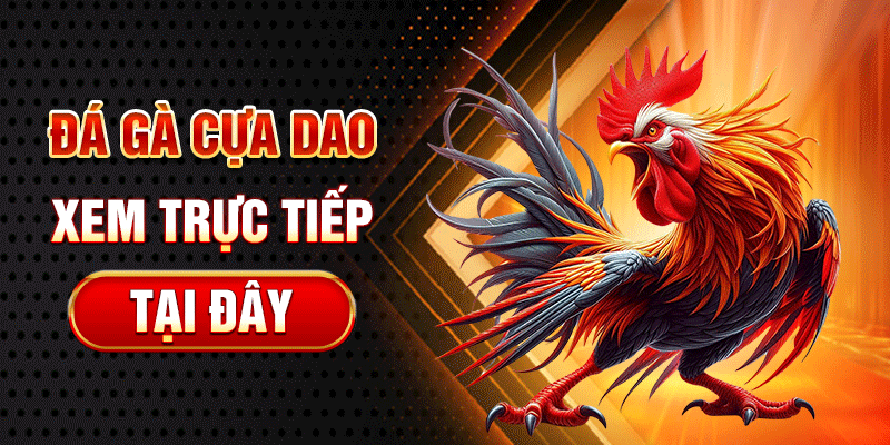 ga6789 đá gà cựa dao