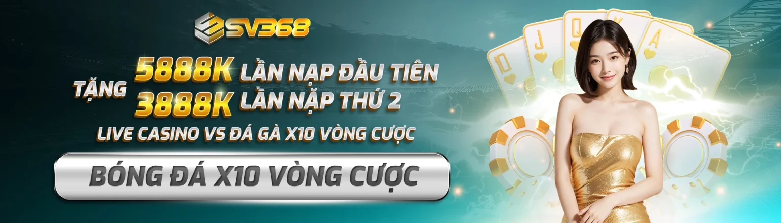 SV368 BANNER