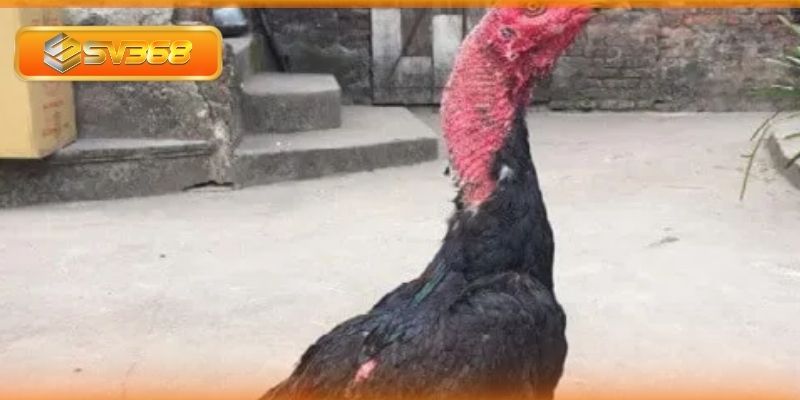 Các biện pháp phòng và điều trị bệnh đường hô hấp mãn tính