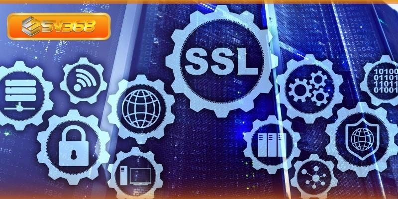 Hệ thống bảo mật SSL và mã hóa tài khoản