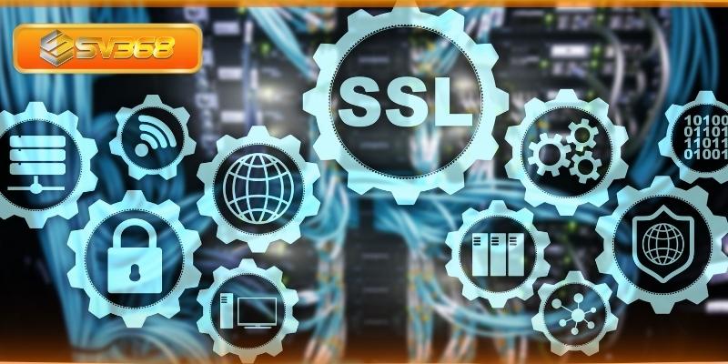 Hệ thống mã hóa SSL và lưu trữ phân tầng