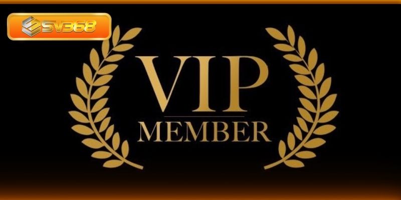 Ưu đãi hấp dẫn dành cho hội viên VIP