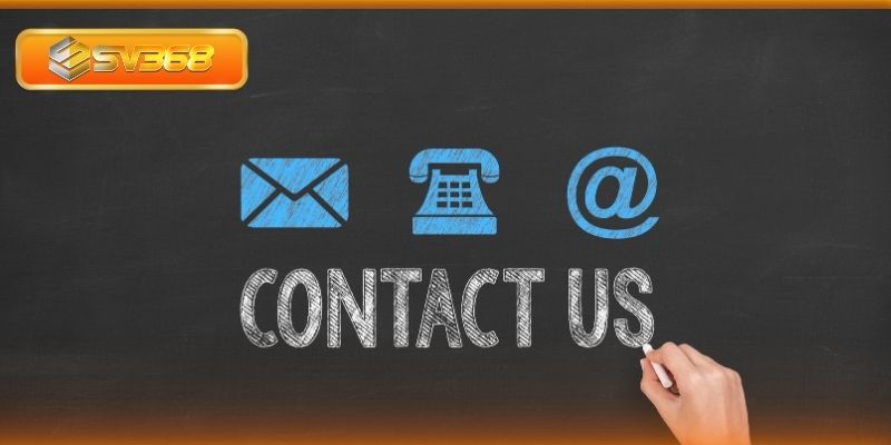 Những lưu ý khi liên hệ SV368 để đạt hiệu quả cao nhất